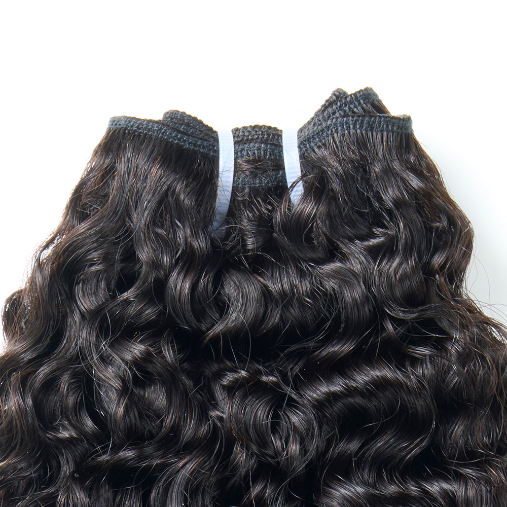 13A BURMESE CURL BUNDLE