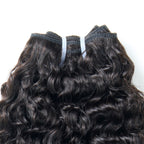 13A BURMESE CURL BUNDLE